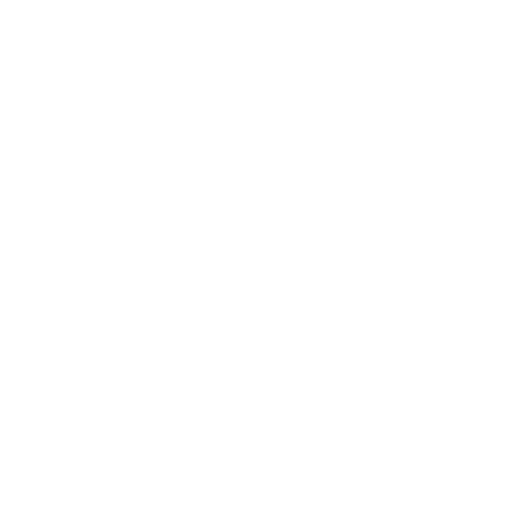Air-MAX-logo-solid-white