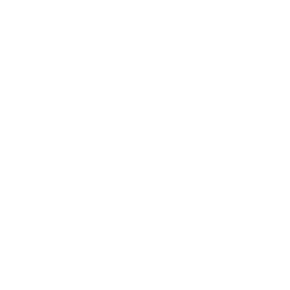 XQ2 Power Adapter and Cord