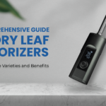 Comprehensive Guide to dry leaf vaporizers