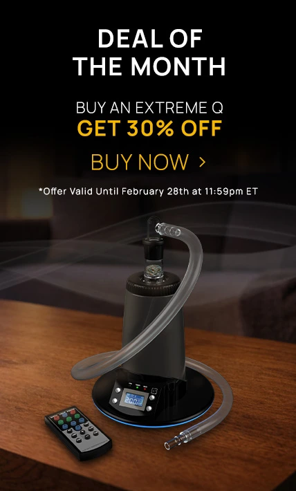 deal of the month Feb 2026
