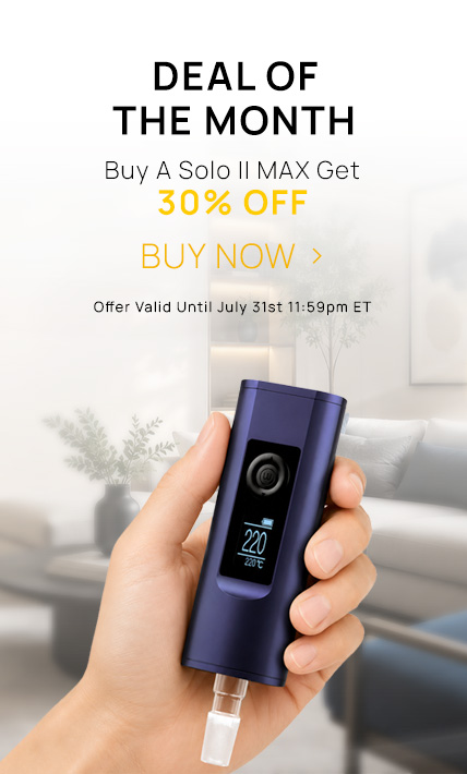 Solo II MAX DOM
