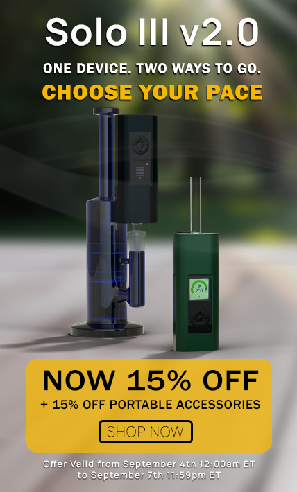 solo 3 on sale