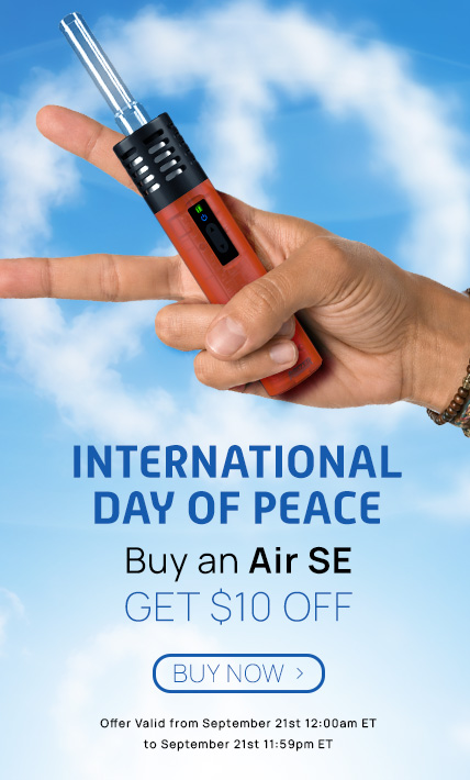 air SE sale